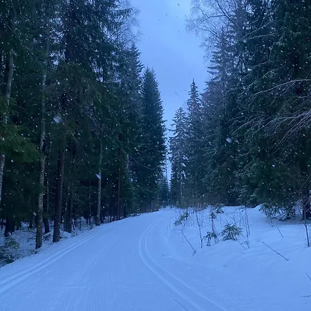 Huoneisto Elokuvateatterilla With The Movie Theater