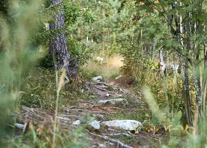 شقة Elokuvateatterilla With The Movie Theater